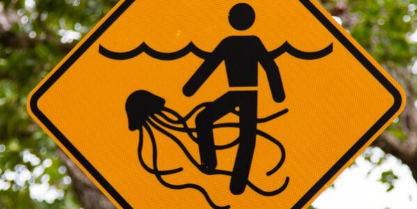 Australian Jellyfish beach sign - first aid irukandji