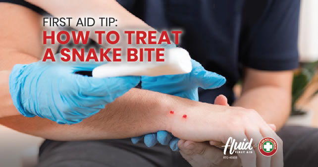 First aid for a snake deals bite